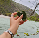 گواشا یشم