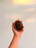 ماساژور سر چوبی عنکبوتی
