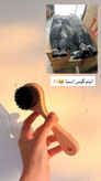 برس بدن دسته دار با موی طبیعی اسب و گاومیش